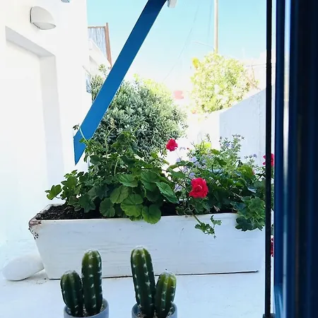 Hotel Portobello Boutique Mykonos Town